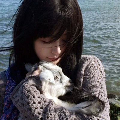 胭脂虎新传